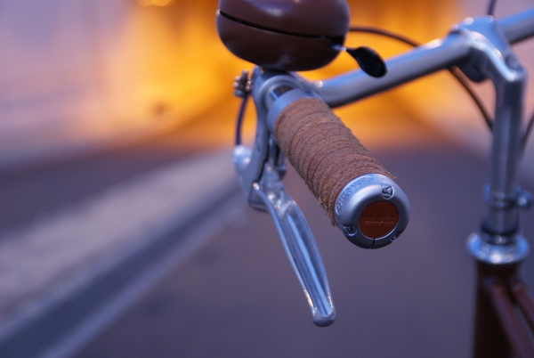 Brooks Plumb Leather Grips Honey