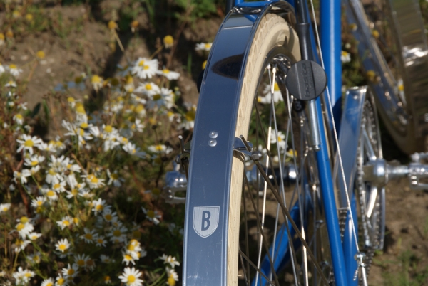 fender, Hebie Fixed guard